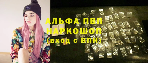 spice Аркадак