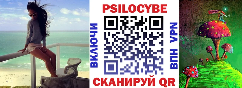 Галлюциногенные грибы Psilocybine cubensis Петропавловск-Камчатский